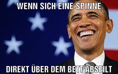 wenn sich eine spinne direkt über dem bett abseilt