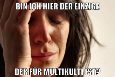 BIN ICH HIER DER EINZIGE DER FÜR MULTIKULTI IST?