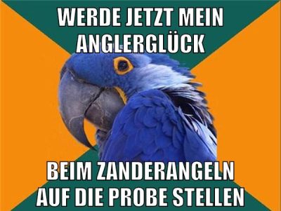 werde jetzt mein anglerglück beim zanderangeln auf die probe stellen
