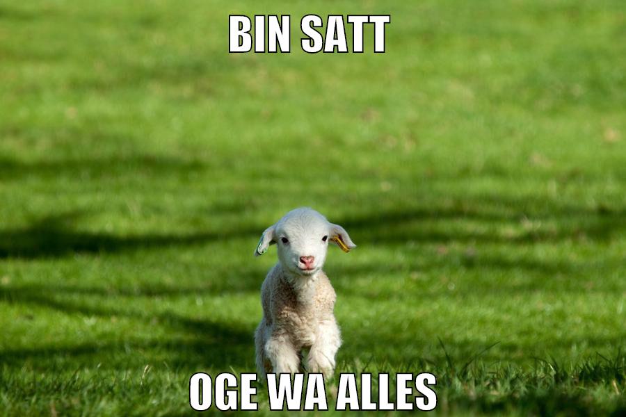 bin satt oge wa alles