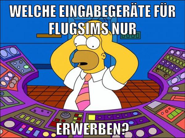 WELCHE EINGABEGERÄTE FÜR FLUGSIMS NUR ERWERBEN?