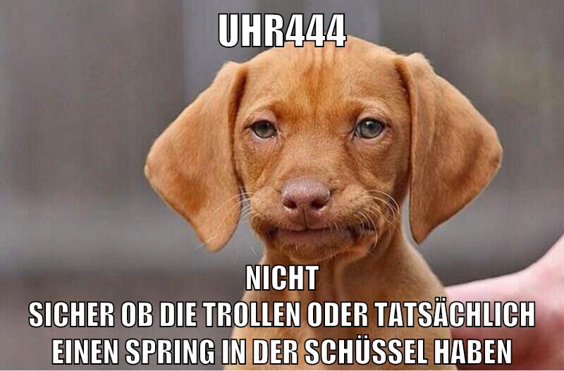 uhr444 nicht sicher ob die trollen oder tatsächlich einen spring in der schüssel haben