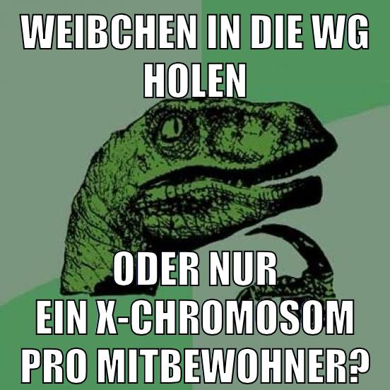 Weibchen in die wG Holen Oder nur ein X-Chromosom Pro Mitbewohner?