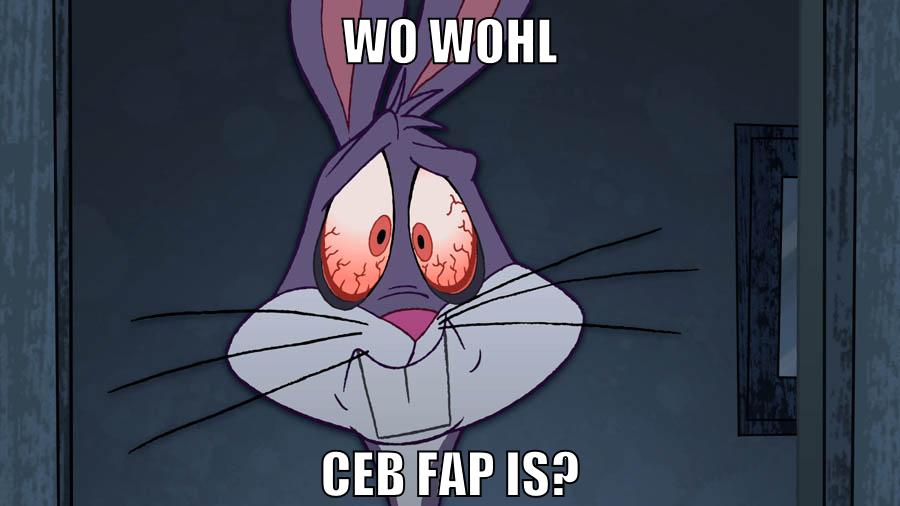 wo wohl ceb fap is?
