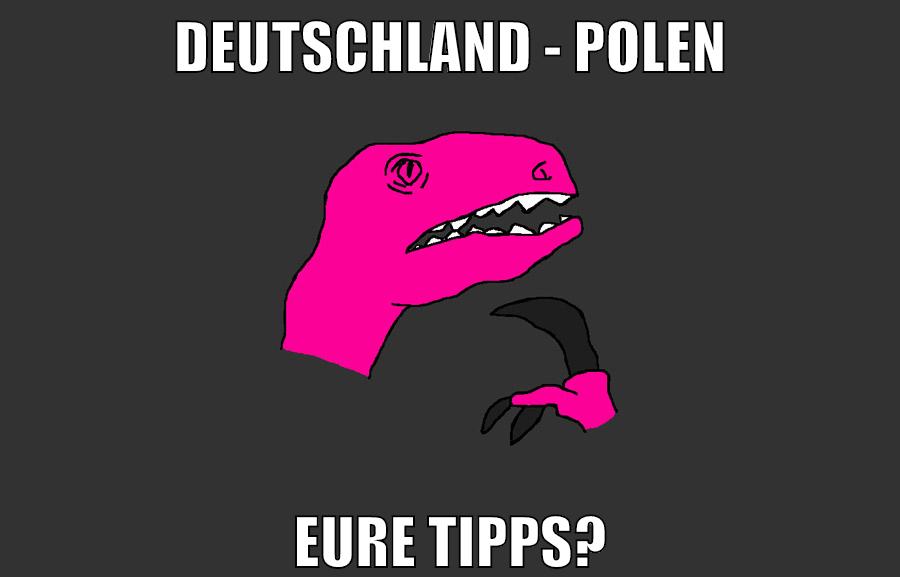 deutschland - polen eure tipps?