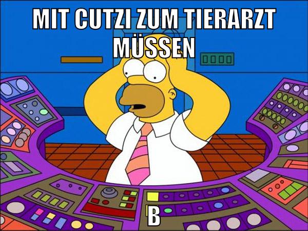 mit cutzi zum tierarzt müssen bereitschftsarzt geht nicht ran