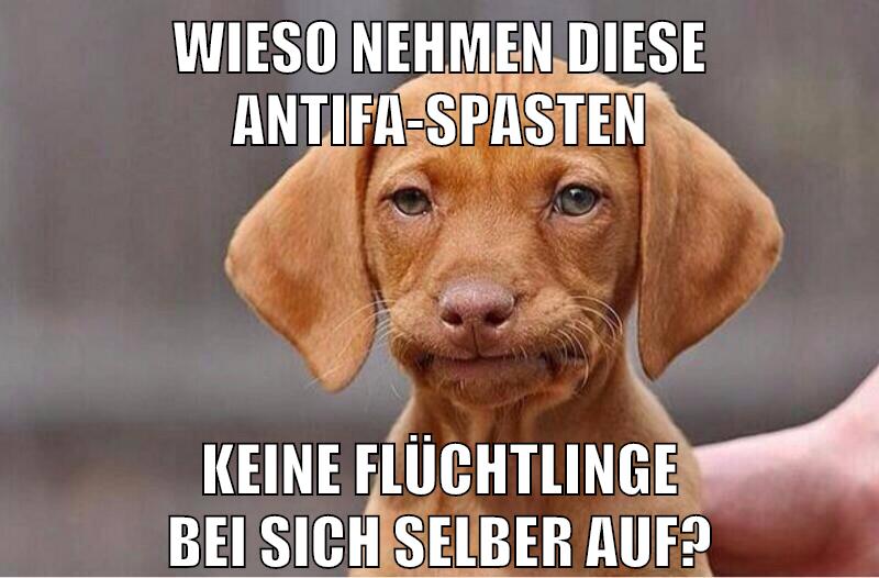 wieso nehmen diese antifa-spasten keine flüchtlinge bei sich selber auf?