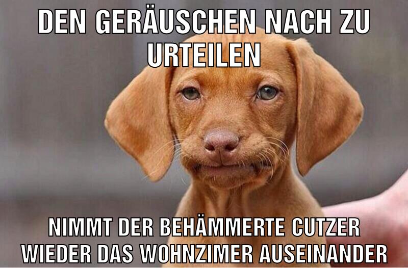 DEN GERÄUSCHEN NACH ZU URTEILEN NIMMT DER BEHÄMMERTE CUTZER WIEDER DAS WOHNZIMER AUSEINANDER