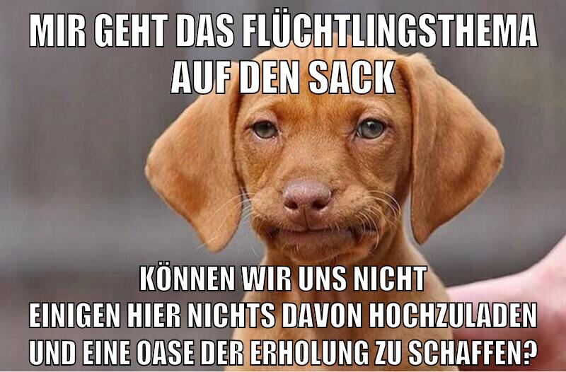 mir geht das flüchtlingsthema auf den sack können wir uns nicht einigen hier nichts davon hochzuladen und eine oase der erholung zu schaffen?