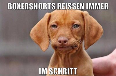 boxershorts reißen immer im schritt