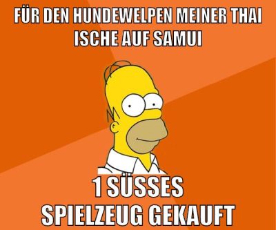 für den hundewelpen meiner thai ische auf samui 1 süßes spielzeug gekauft