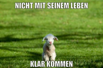 nicht mit seinem leben klar kommen