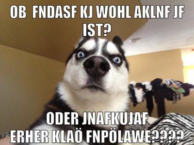ob  fndasf kj wohl aklnf jf ist? oder jnafkujaf erher klaö fnpölawe????