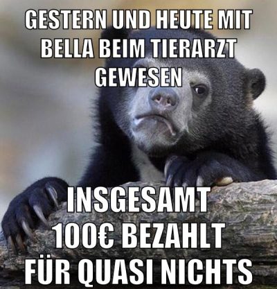 gestern und heute mit bella beim tierarzt gewesen insgesamt 100€ bezahlt für quasi nichts