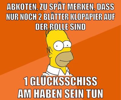 abkoten, zu spät merken, dass nur noch 2 blätter klopapier auf der rolle sind 1 glücksschiss am haben sein tun