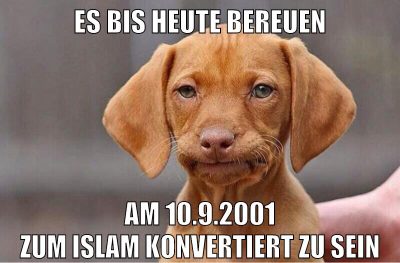 es bis heute bereuen am 10.9.2001 zum islam konvertiert zu sein