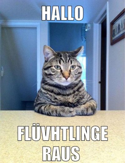 hallo flüvhtlinge raus