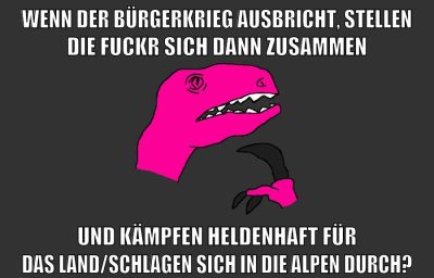wenn der bürgerkrieg ausbricht, stellen die fuckr sich dann zusammen und kämpfen heldenhaft für das land/schlagen sich in die alpen durch?