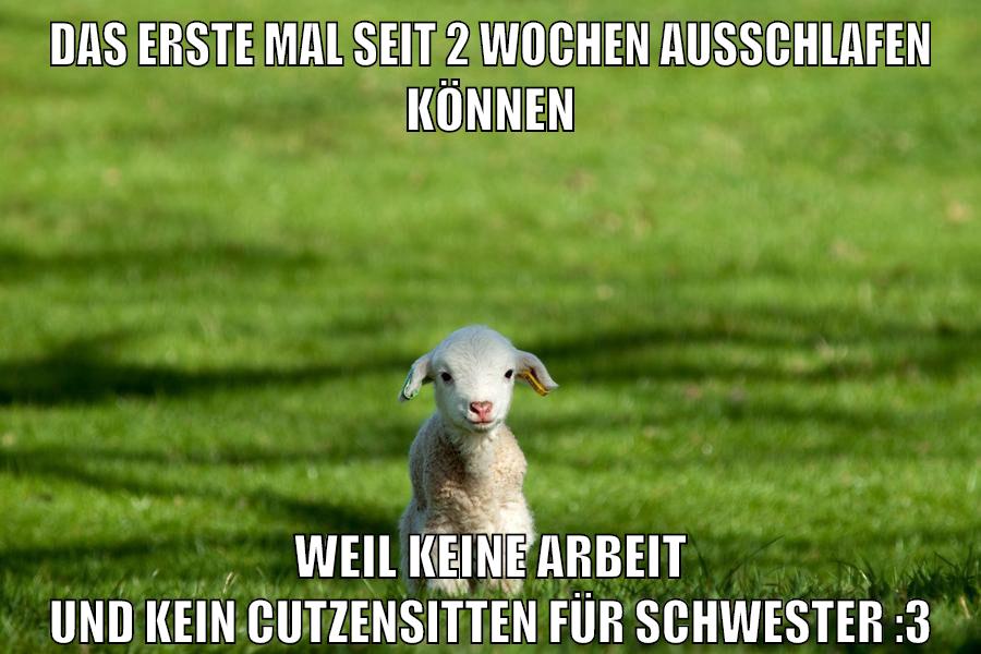 das erste mal seit 2 wochen ausschlafen können weil keine arbeit und kein cutzensitten für schwester :3