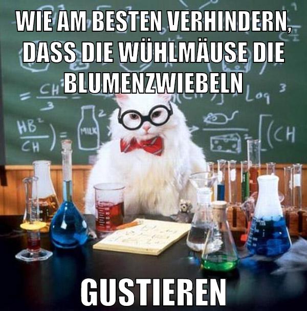 WIE AM BESTEN VERHINDERN, DASS DIE WÜHLMÄUSE DIE BLUMENZWIEBELN GUSTIEREN
