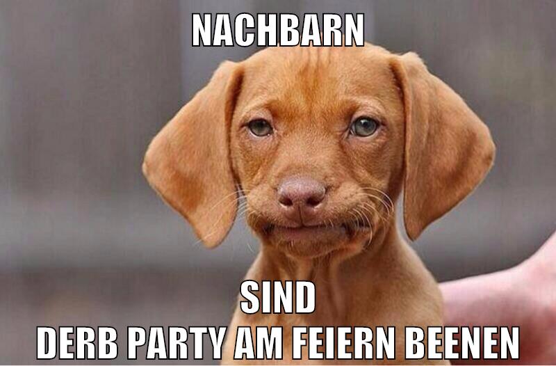 Nachbarn sind derb party am feiern beenen