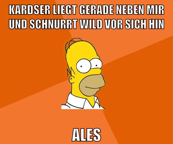 kardser liegt gerade neben mir und schnurrt wild vor sich hin ales