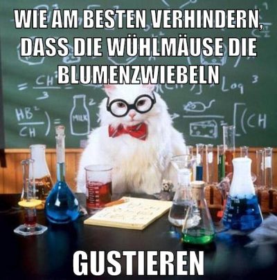 WIE AM BESTEN VERHINDERN, DASS DIE WÜHLMÄUSE DIE BLUMENZWIEBELN GUSTIEREN