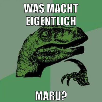 was macht eigentlich maru?
