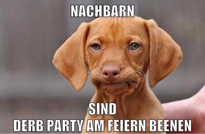 Nachbarn sind derb party am feiern beenen