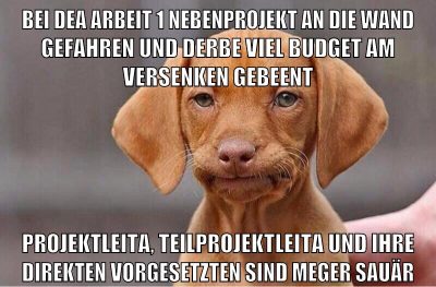 bei dea arbeit 1 nebenprojekt an die wand gefahren und derbe viel budget am versenken gebeent projektleita, teilprojektleita und ihre direkten vorgesetzten sind meger sauär
