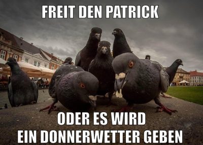 freit den patrick oder es wird ein donnerwetter geben