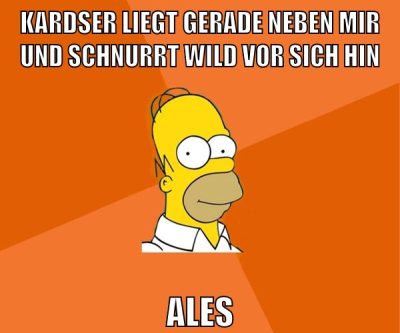kardser liegt gerade neben mir und schnurrt wild vor sich hin ales