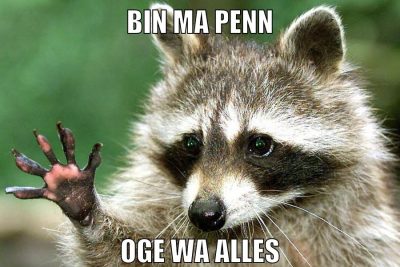 bin ma penn oge wa alles