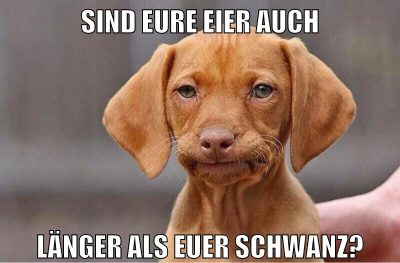 Sind eure Eier auch länger als euer Schwanz?