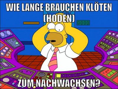 Wie lange brauchen Klöten (Hoden) Zum Nachwachsen?