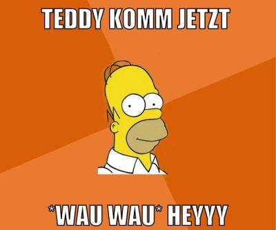 teddy komm jetzt *wau wau* HEYYY