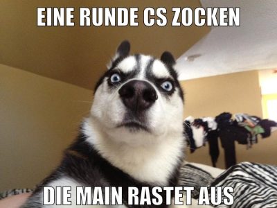 eine runde cs zocken die main rastet aus