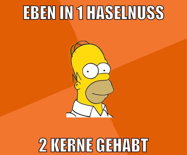 eben in 1 haselnuss 2 kerne gehabt