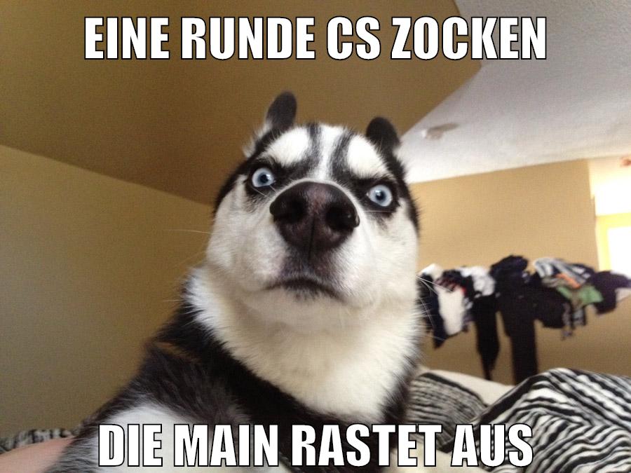 eine runde cs zocken die main rastet aus