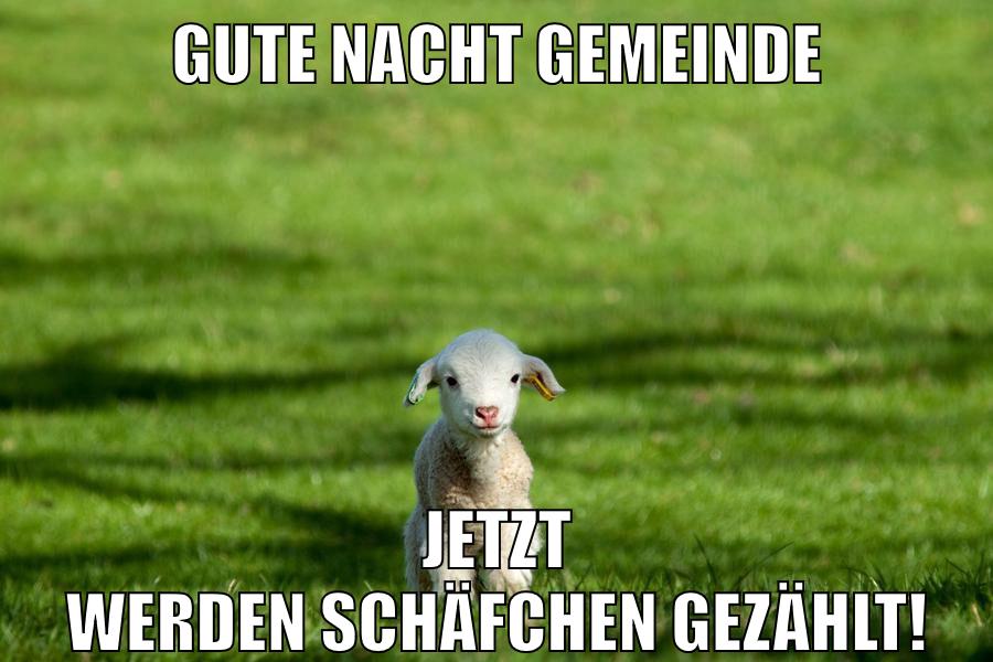 Gute nacht gemeinde Jetzt werden schäfchen gezählt!