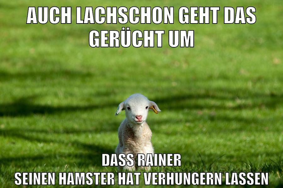 auch lachschon geht das gerücht um dass rainer seinen hamster hat verhungern lassen