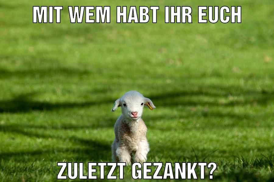 Mit wem habt ihr euch Zuletzt gezankt?