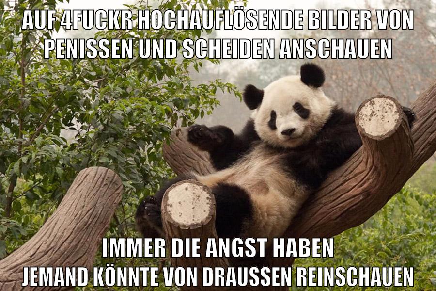 auf 4fuckr hochauflösende bilder von penissen und scheiden anschauen immer die angst haben jemand könnte von draußen reinschauen