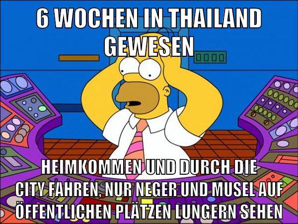 6 wochen in thailand gewesen heimkommen und durch die city fahren, nur neger und musel auf öffentlichen plätzen lungern sehen