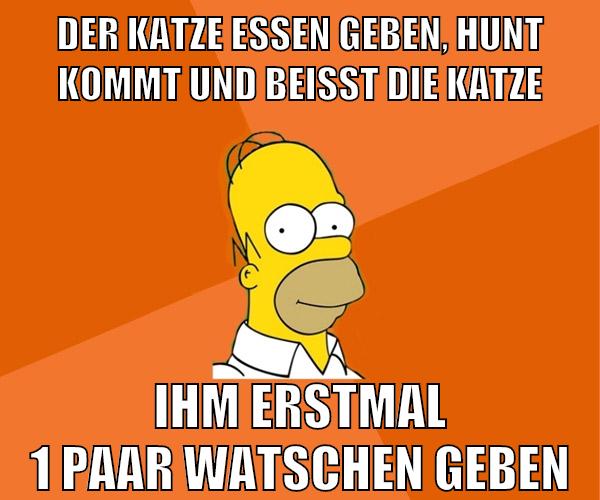 der katze essen geben, hunt kommt und beisst die katze ihm erstmal 1 paar watschen geben