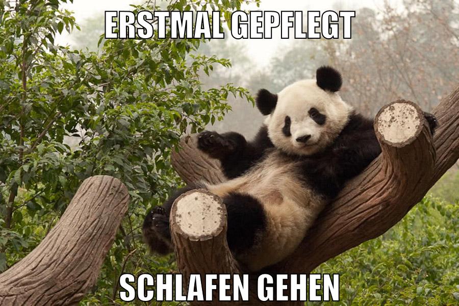 erstmal gepflegt schlafen gehen