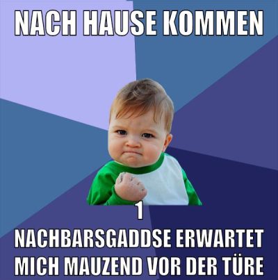 nach hause kommen 1 nachbarsgaddse erwartet mich mauzend vor der Türe