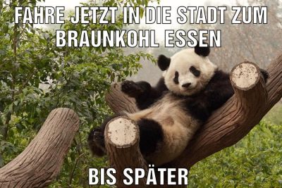Fahre jetzt in die Stadt zum Braunkohl essen Bis später