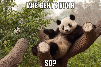 wie gehts euch so?