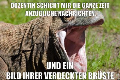DickeRadieschens RealLife Abenteuer